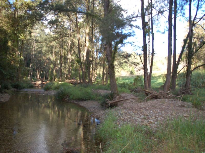 Lot 19 Upper Buckrabendinni road, Argents Hill NSW 2449