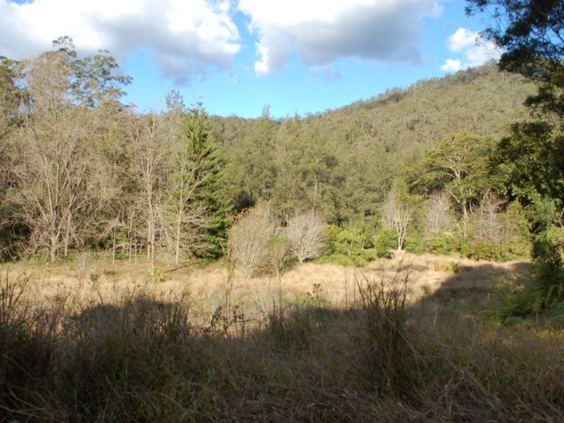 Lot 19 Upper Buckrabendinni road, Argents Hill NSW 2449