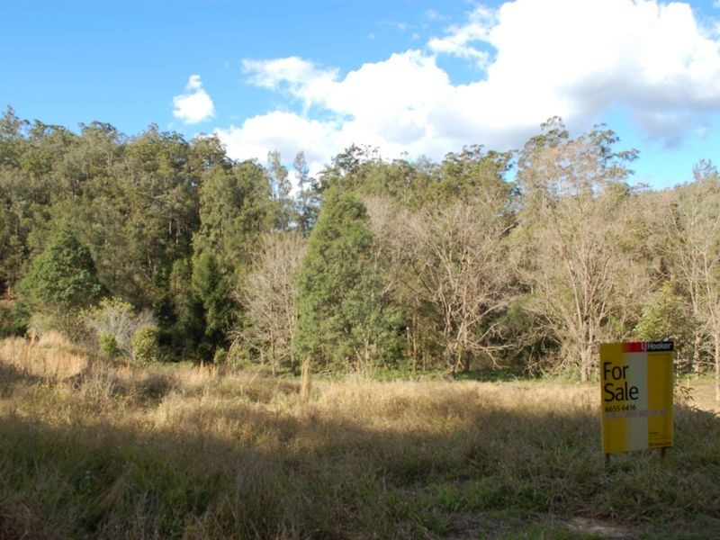 Lot 19 Upper Buckrabendinni road, Argents Hill NSW 2449