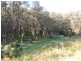 Lot 19 Upper Buckrabendinni road, Argents Hill NSW 2449
