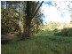Lot 19 Upper Buckrabendinni road, Argents Hill NSW 2449