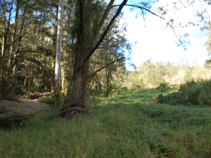 Lot 19 Upper Buckrabendinni road, Argents Hill NSW 2449
