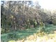 Lot 19 Upper Buckrabendinni road, Argents Hill NSW 2449