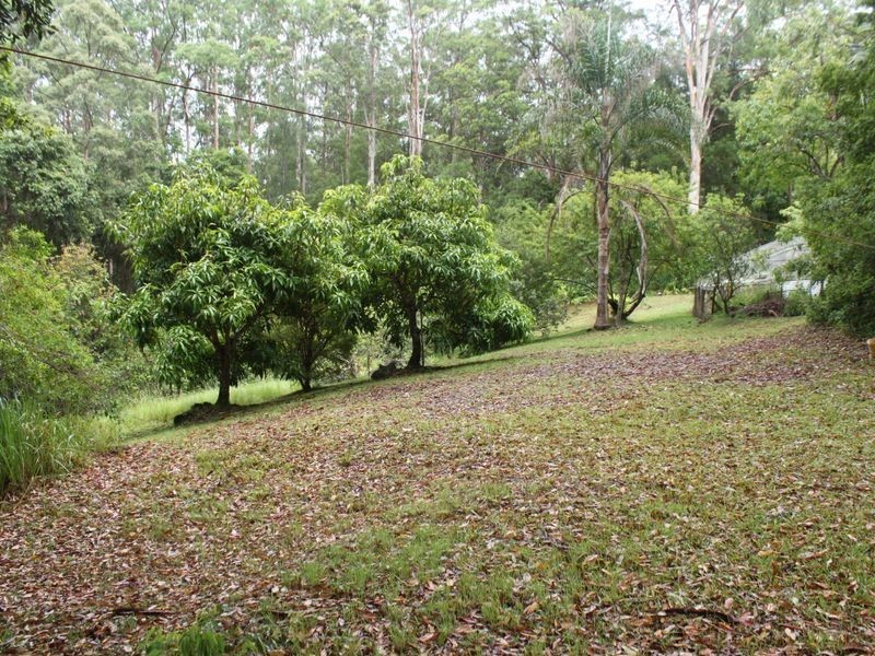150 Martells Road, Bellingen NSW 2454