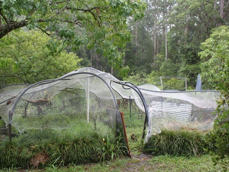 150 Martells Road, Bellingen NSW 2454