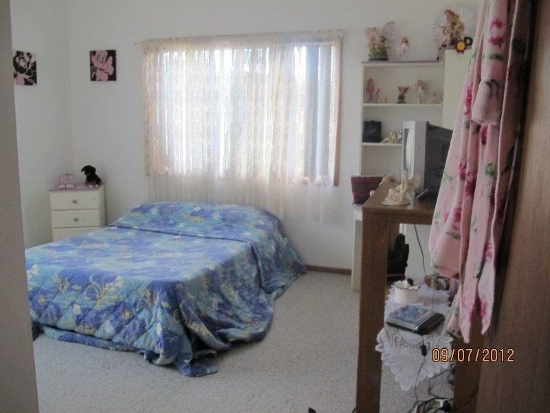 799 Waterfall Way, Fernmount NSW 2454