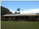 24 The Grove Newry Island, Urunga NSW 2455