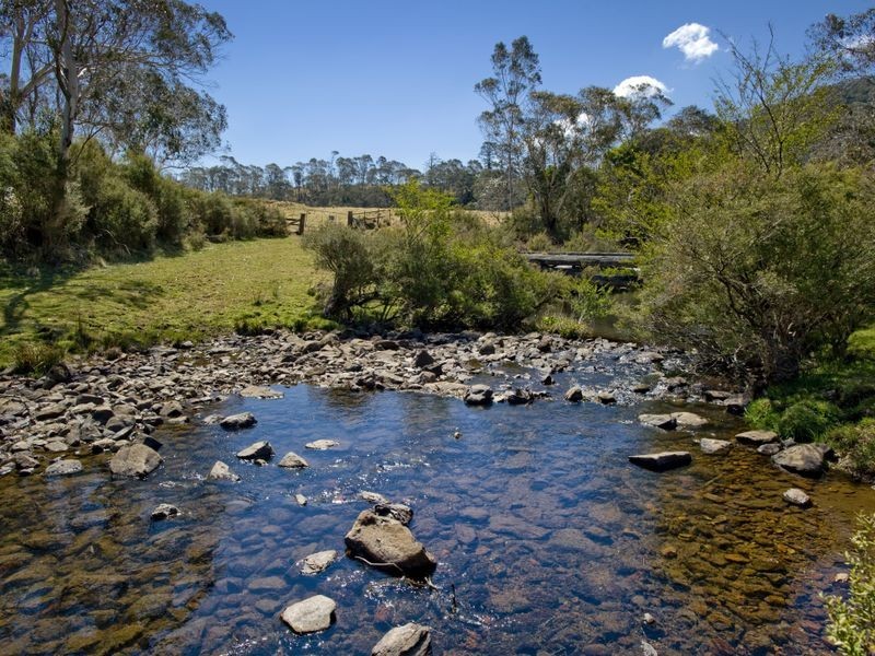 1956 Old Deervale LOOP Road, Deer Vale NSW 2453
