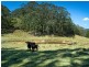 1956 Old Deervale LOOP Road, Deer Vale NSW 2453