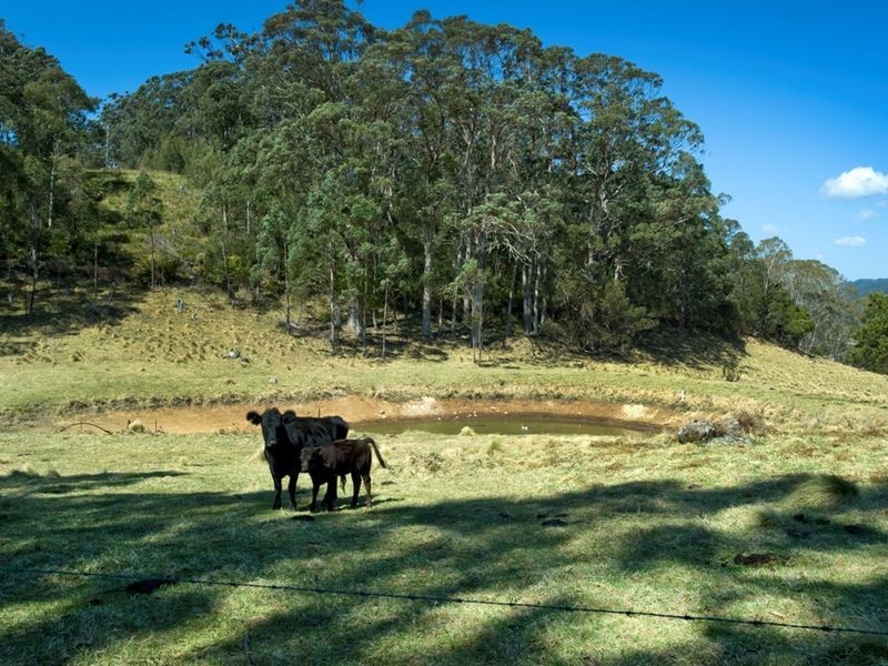 1956 Old Deervale LOOP Road, Deer Vale NSW 2453