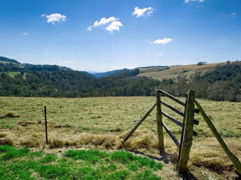 1956 Old Deervale LOOP Road, Deer Vale NSW 2453