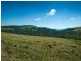 1956 Old Deervale LOOP Road, Deer Vale NSW 2453