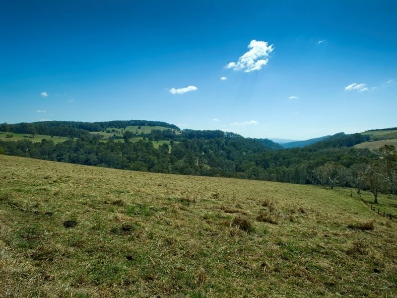 1956 Old Deervale LOOP Road, Deer Vale NSW 2453