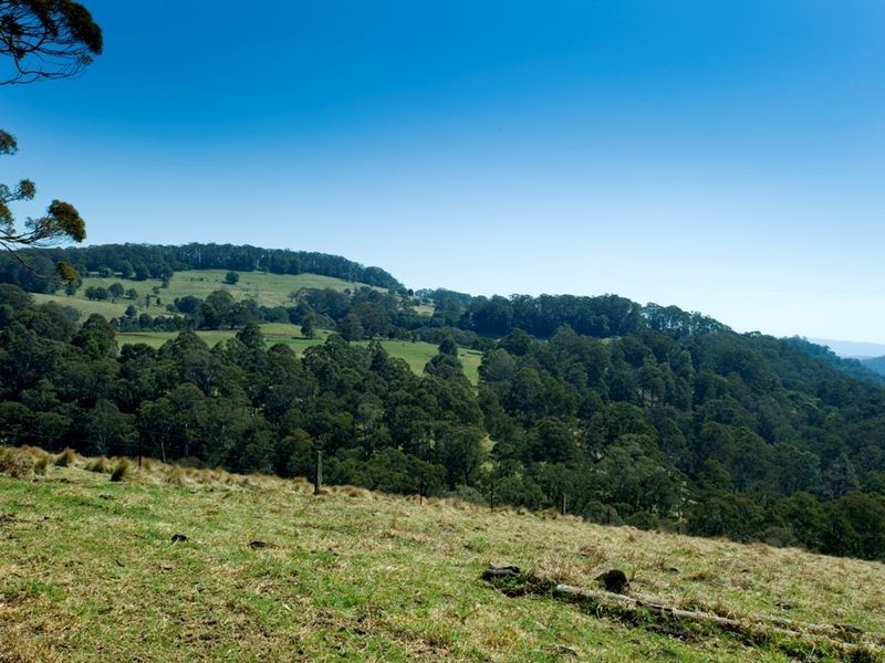1956 Old Deervale LOOP Road, Deer Vale NSW 2453
