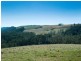 1956 Old Deervale LOOP Road, Deer Vale NSW 2453