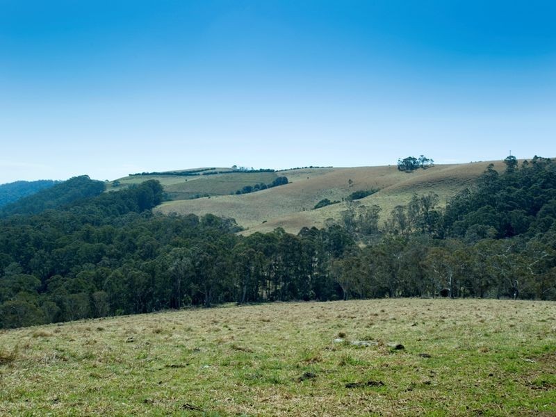 1956 Old Deervale LOOP Road, Deer Vale NSW 2453