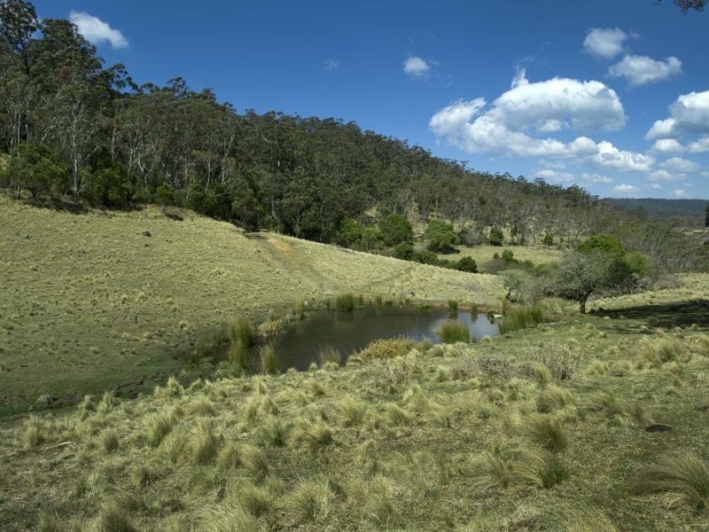 1956 Old Deervale LOOP Road, Deer Vale NSW 2453