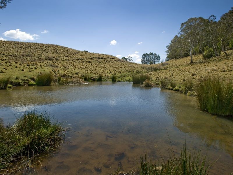 1956 Old Deervale LOOP Road, Deer Vale NSW 2453