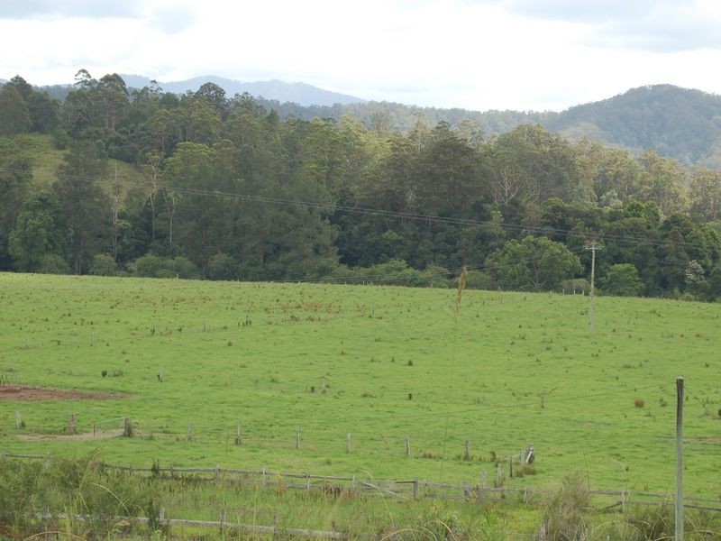 1343 Kalang Road, Kalang NSW 2454