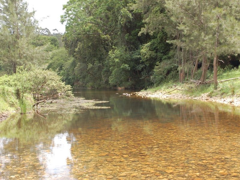 1343 Kalang Road, Kalang NSW 2454