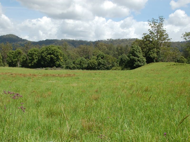 1343 Kalang Road, Kalang NSW 2454