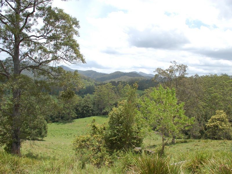 1343 Kalang Road, Kalang NSW 2454