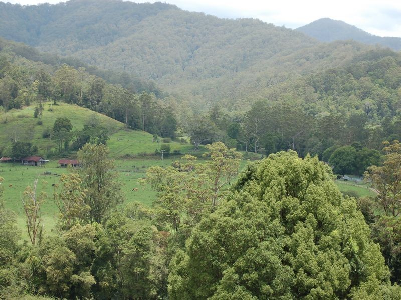 1343 Kalang Road, Kalang NSW 2454