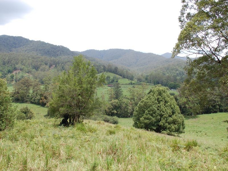 1343 Kalang Road, Kalang NSW 2454