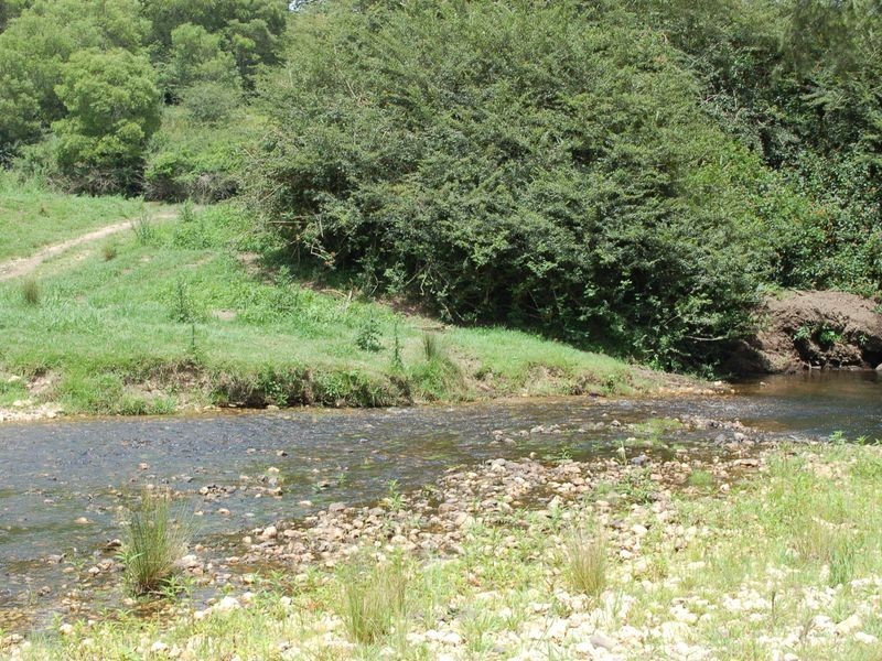 1343 Kalang Road, Kalang NSW 2454