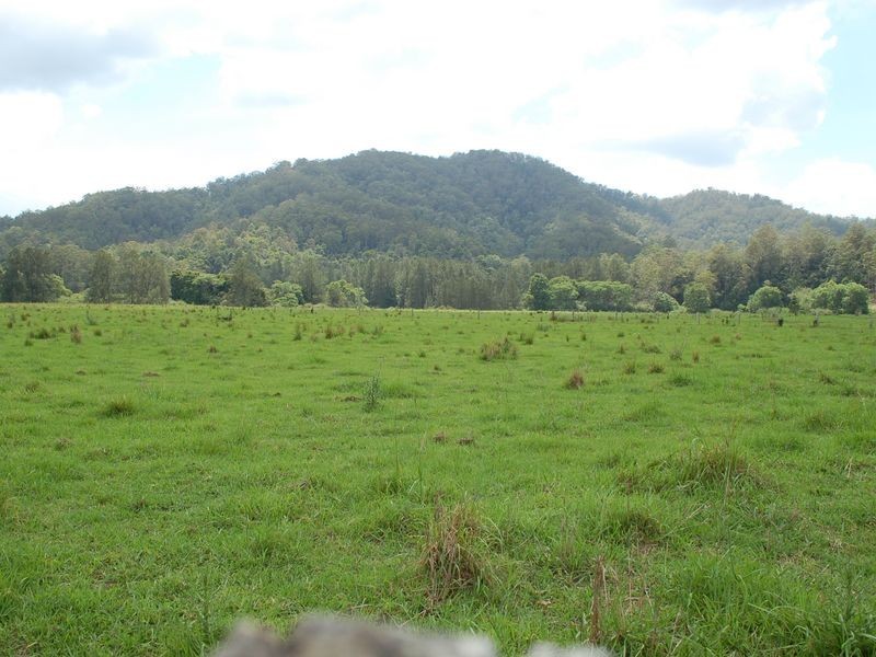 1343 Kalang Road, Kalang NSW 2454