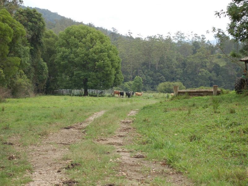 1343 Kalang Road, Kalang NSW 2454