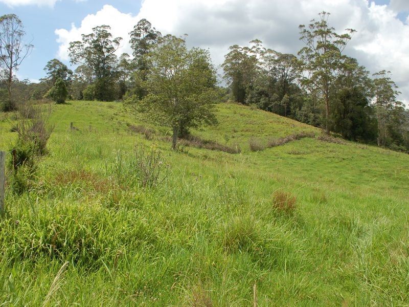 1343 Kalang Road, Kalang NSW 2454