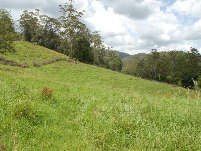 1343 Kalang Road, Kalang NSW 2454