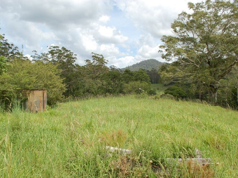 1343 Kalang Road, Kalang NSW 2454