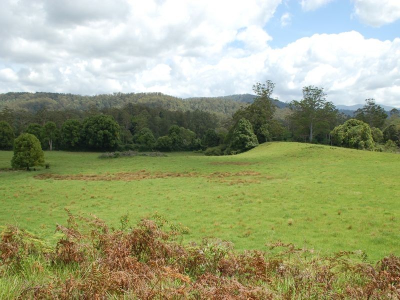 1343 Kalang Road, Kalang NSW 2454