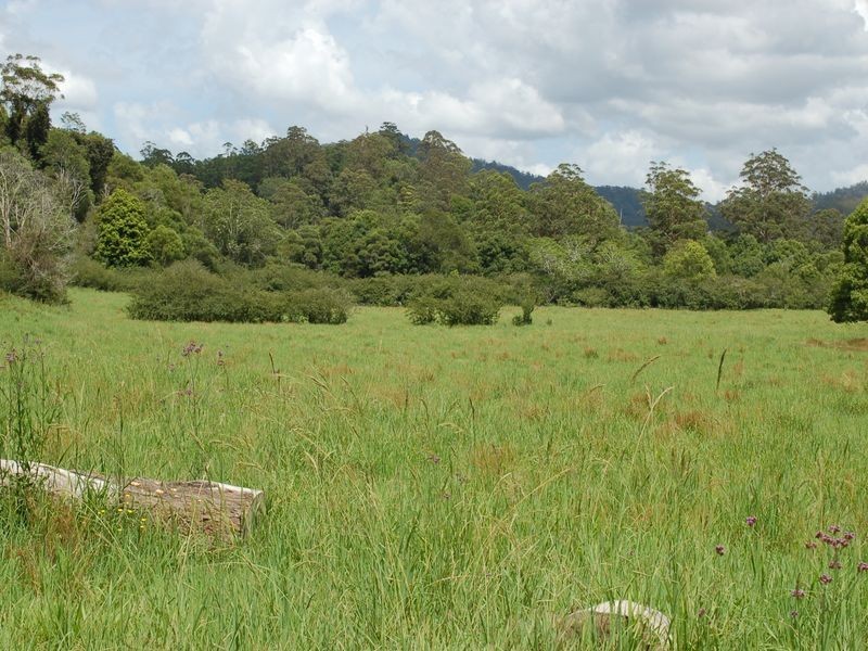 1343 Kalang Road, Kalang NSW 2454