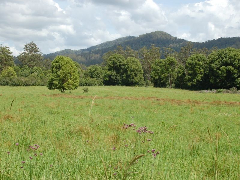 1343 Kalang Road, Kalang NSW 2454