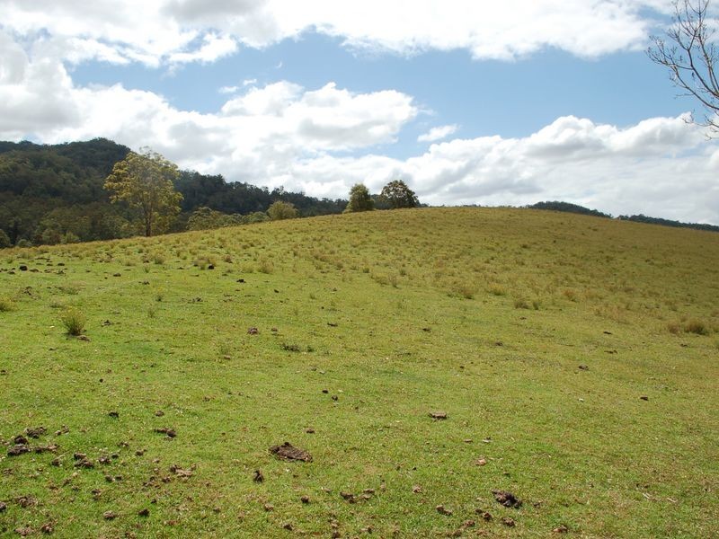 1136 South Arm Road, Bowraville NSW 2449