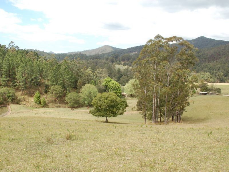 1136 South Arm Road, Bowraville NSW 2449