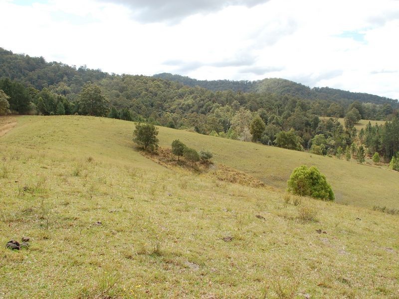 1136 South Arm Road, Bowraville NSW 2449