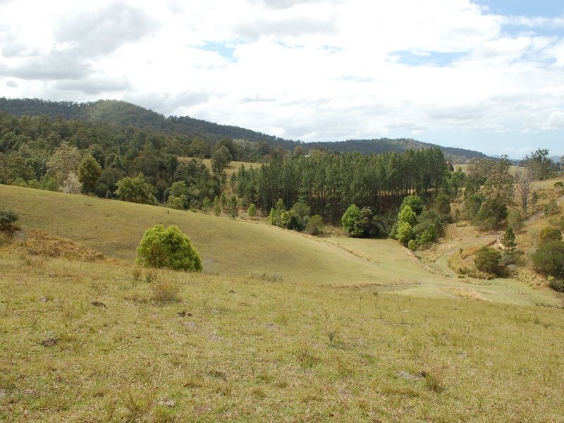 1136 South Arm Road, Bowraville NSW 2449