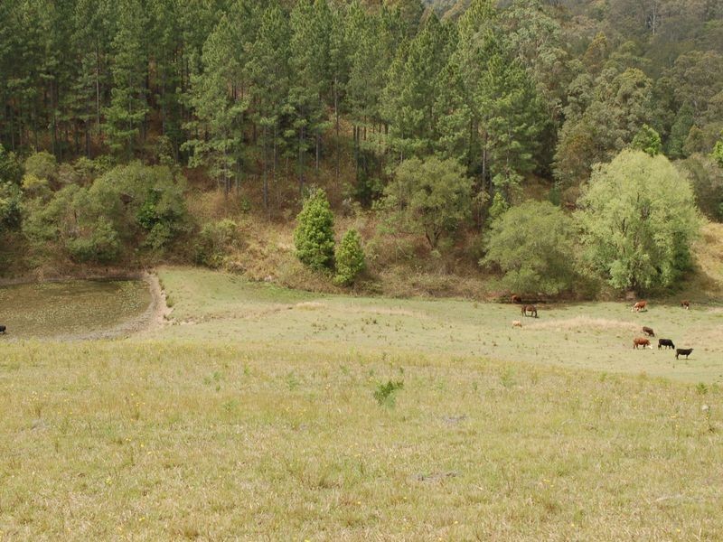 1136 South Arm Road, Bowraville NSW 2449