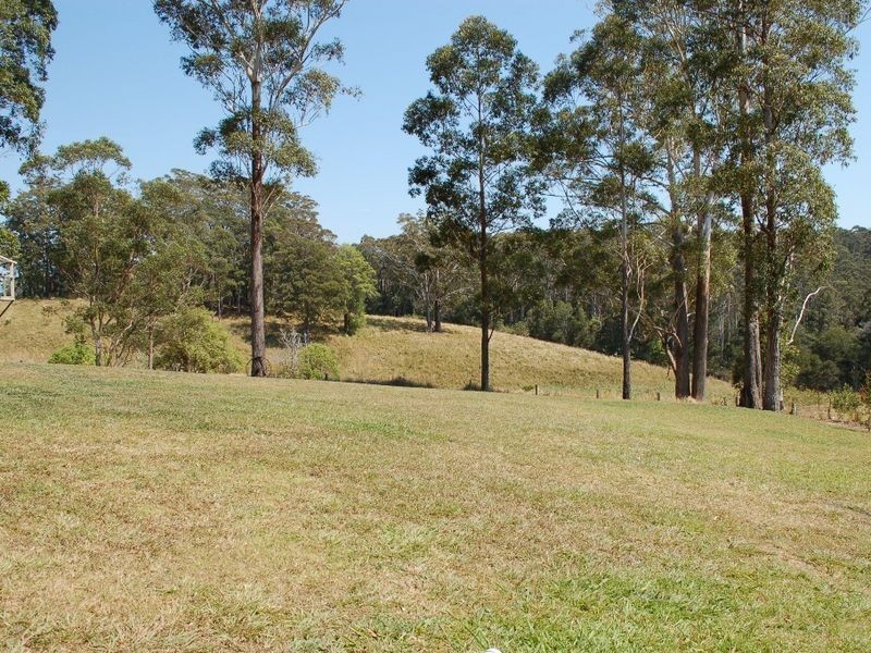 64 Joeliza Drive, Repton NSW 2454