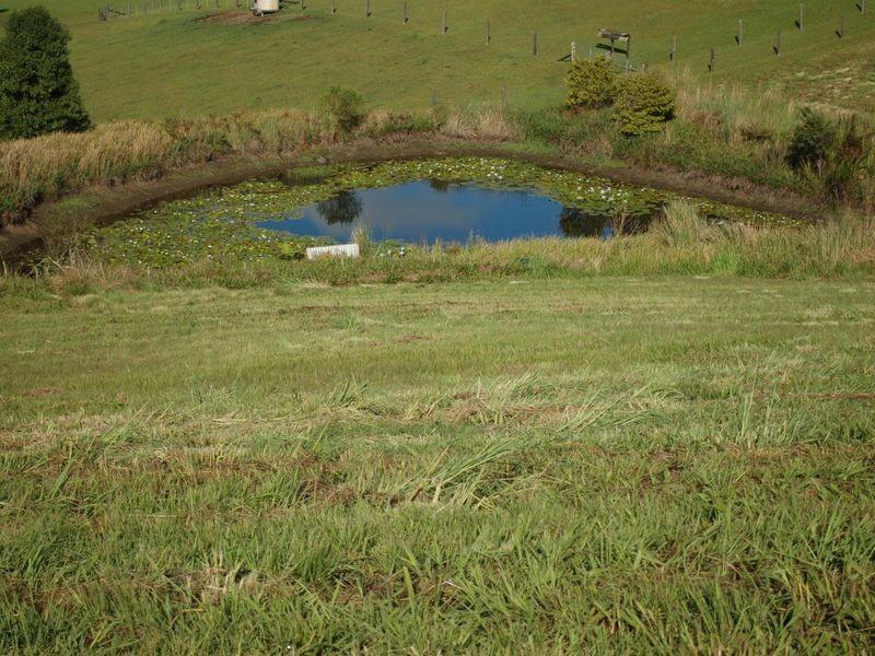 Lot 8 Peppertree Grove, Congarinni NSW 2447