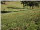 Lot 8 Peppertree Grove, Congarinni NSW 2447