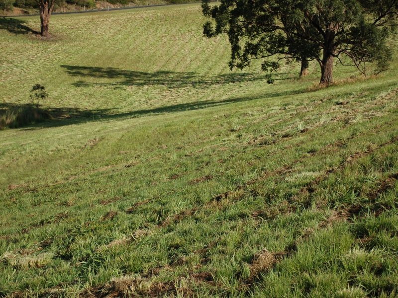 Lot 8 Peppertree Grove, Congarinni NSW 2447