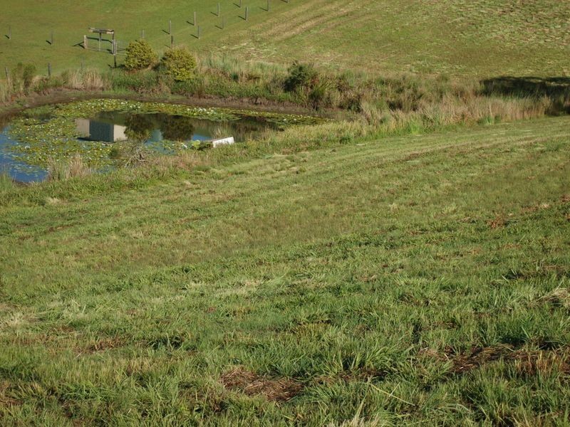 Lot 8 Peppertree Grove, Congarinni NSW 2447