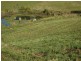 Lot 8 Peppertree Grove, Congarinni NSW 2447