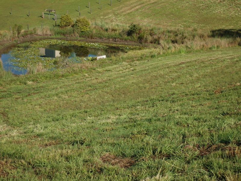 Lot 8 Peppertree Grove, Congarinni NSW 2447