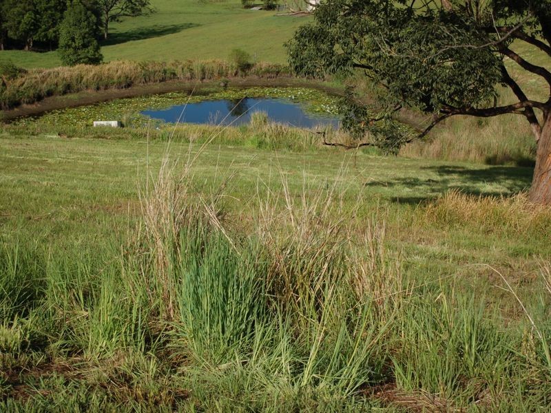 Lot 8 Peppertree Grove, Congarinni NSW 2447